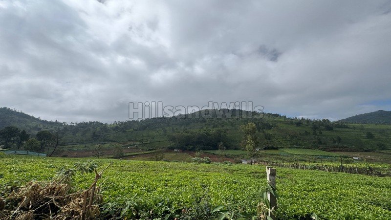 ₹90 Lac | 22.5 cents residential plot for sale  in keircombai near kotagiri