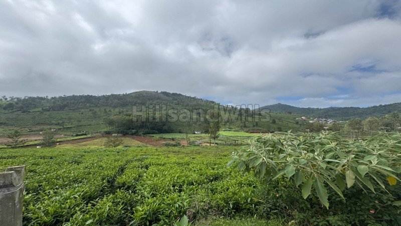 ₹90 Lac | 22.5 cents residential plot for sale  in keircombai near kotagiri