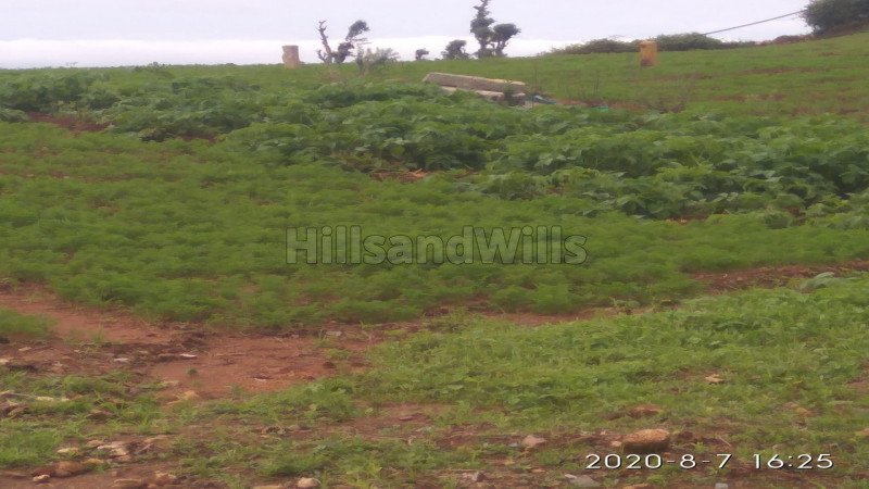 ₹38.25 Lac - 39 Lac | 12 Cents - 13 Cents | residential plot for sale in ooty