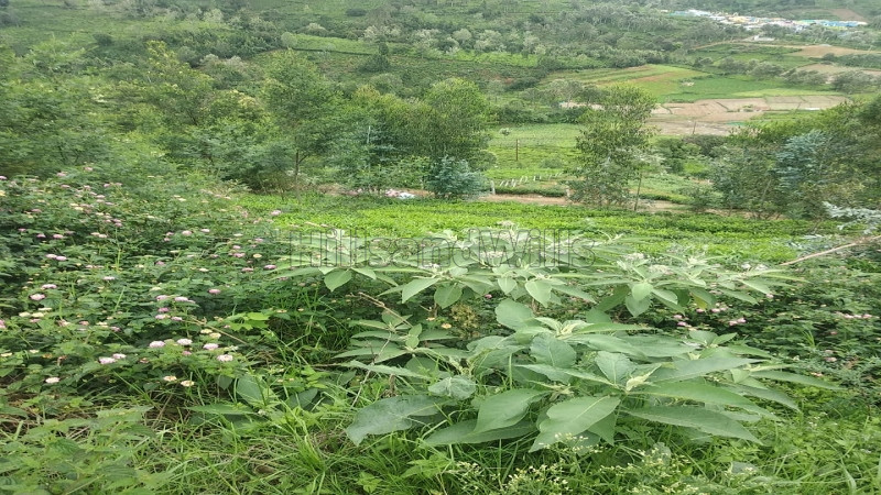 ₹25 Lac | 21 cents Agriculture Land For Sale in Ketti Palada Ooty