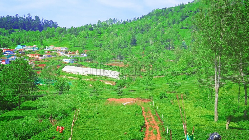 ₹60 Lac | 30 cents Residential Plot For Sale in Kethouri Village Ooty