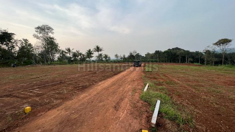 ₹8 Lac | 10 cents residential plot for sale in pulpally wayanad
