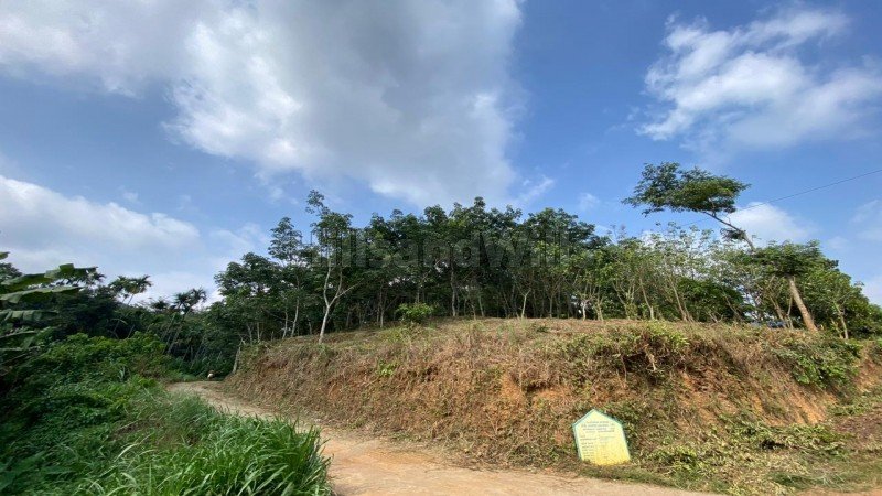 ₹28.70 Lac | 82 cents residential plot for sale  in mananthavady wayanad