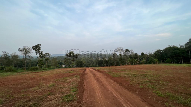 ₹8 Lac | 10 cents residential plot for sale in pulpally wayanad