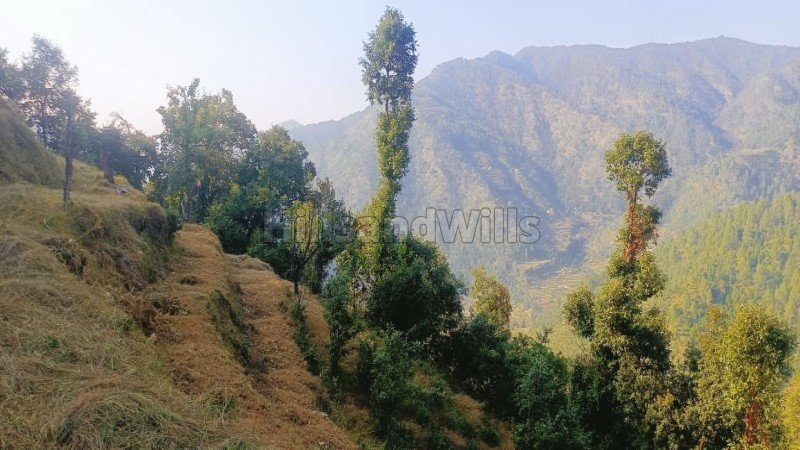 ₹42 Lac | 240 sq.yards residential plot for sale  in ramgarh nainital
