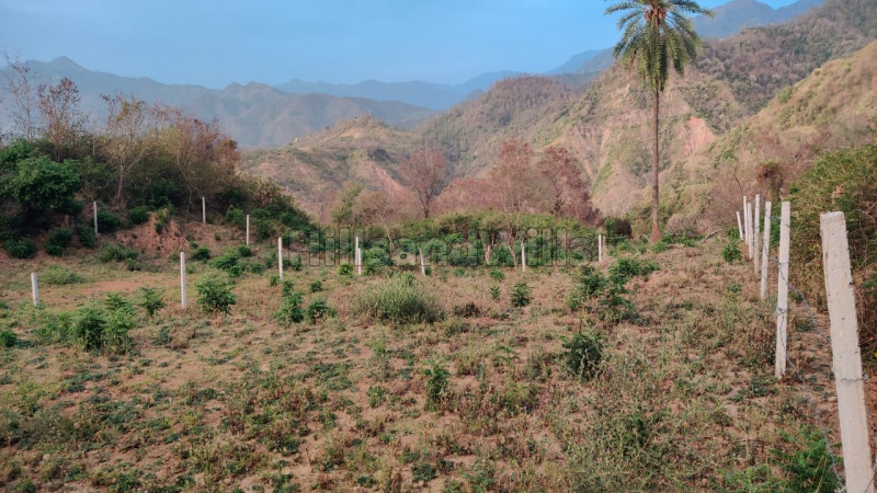 ₹55 Lac | 1000 sq.yards agriculture land for sale in mandhna morni hills