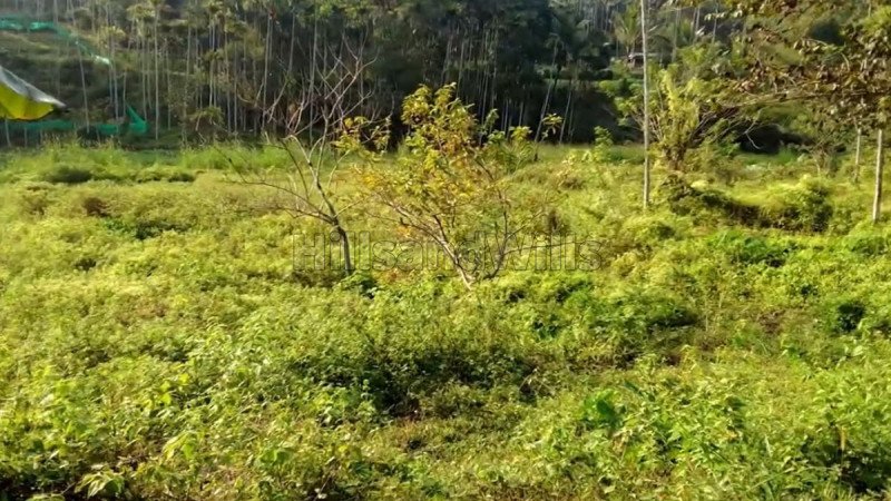 ₹20 Lac | 1 acres residential plot for sale  in valavayal wayanad