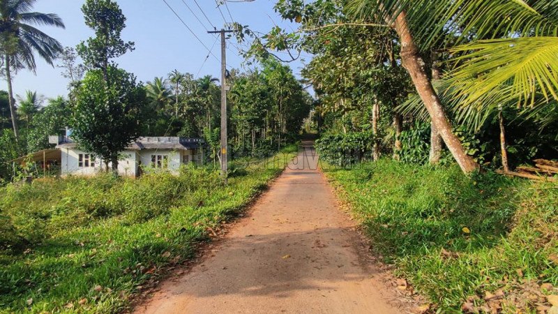 ₹20 Lac | 1 acres residential plot for sale  in valavayal wayanad