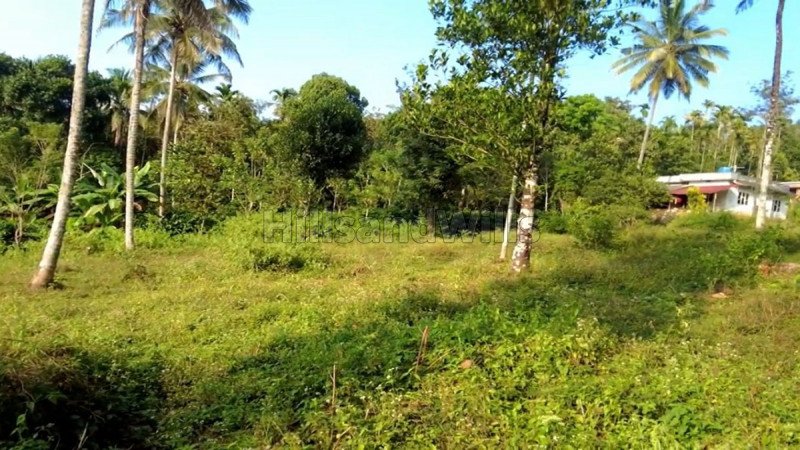 ₹20 Lac | 1 acres residential plot for sale  in valavayal wayanad