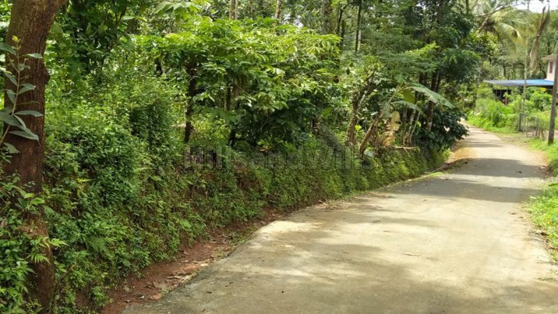 ₹50 Lac | 1 acres residential plot for sale  in padinjarathara wayanad