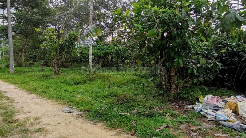 ₹54 Lac | 30 cents residential plot for sale  in manivayal wayanad