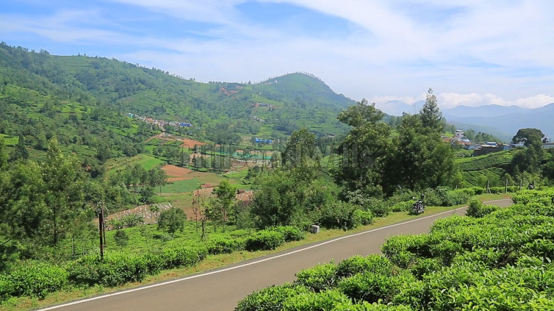₹35 Lac | 25 cents Residential Plot For Sale in Kethouri, Ooty