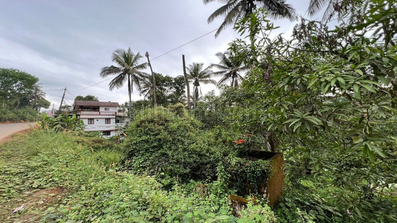 ₹1.20 Cr | 20 cents commercial land  for sale in mananthavady wayanad