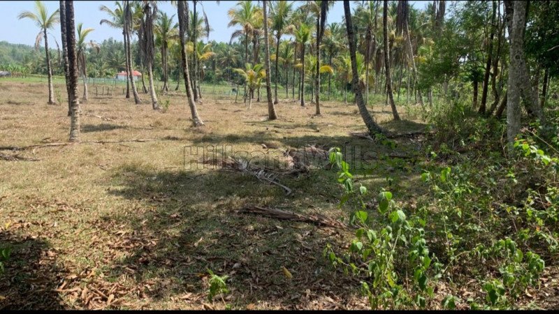 ₹80 Lac | 2.5 acres residential plot for sale  in muthanga wayanad