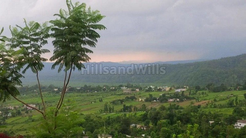 ₹30 Lac - 75 Lac | 250 sq.yards - 756 sq.yards residential plot for sale  in kotabagh nainital