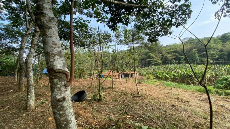 ₹28.70 Lac | 82 cents residential plot for sale  in mananthavady wayanad