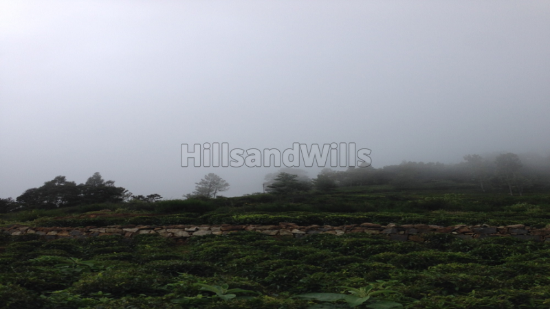 ₹1.20 Cr | 1.5 acres Agriculture Land For Sale in bengalmattam Ooty