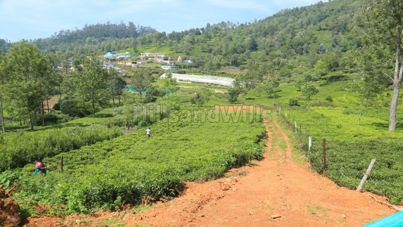 ₹60 Lac | 30 cents Residential Plot For Sale in Kethouri Village Ooty