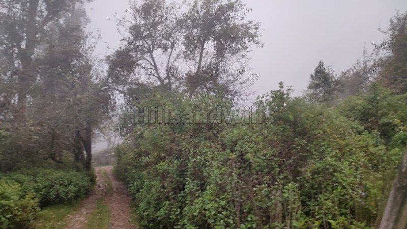 ₹1.50 Cr | 30 cents residential plot for sale  in pudukadu kodaikanal