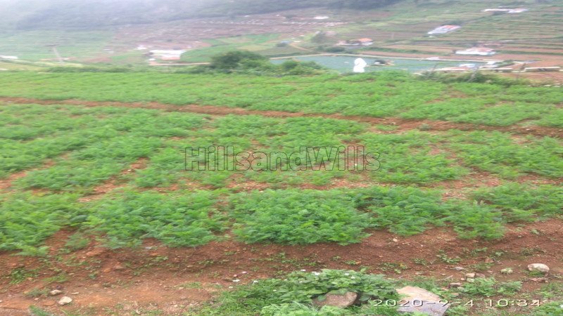 ₹38.25 Lac - 39 Lac | 12 Cents - 13 Cents | residential plot for sale in ooty