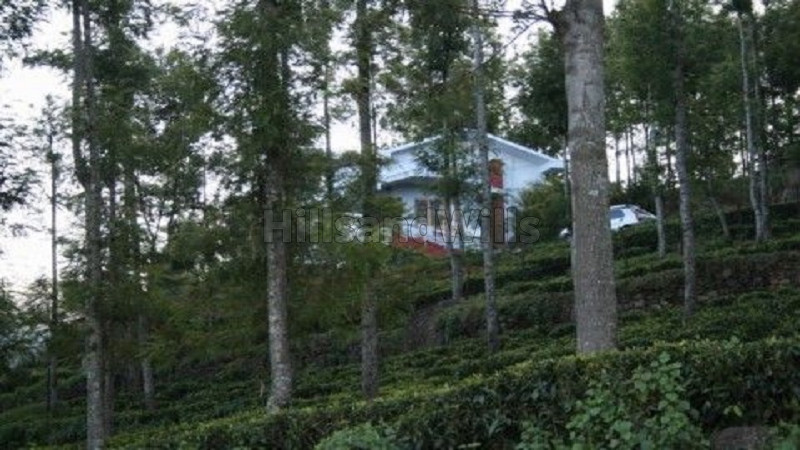 ₹3 Cr | 3BHK Farm House For Sale in Buttercombai Ooty