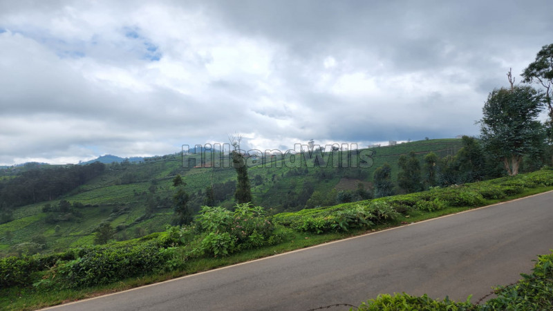 ₹62 Lac | 15.5 cents agriculture land for sale in athigaratty ooty