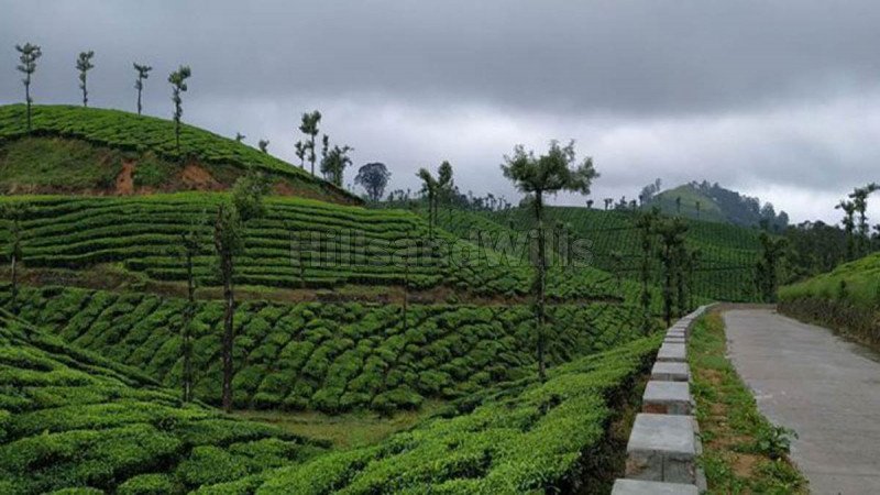 ₹185 Cr | 725 acres tea estate for sale  in valparai