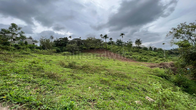 ₹1.37 Cr | 50 cents commercial land  for sale in kalpetta wayanad