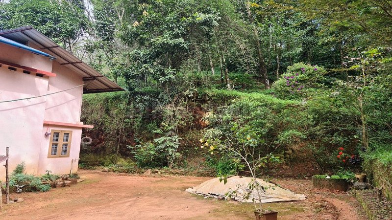 ₹90 Lac | 4 acres residential plot for sale  in valat wayanad