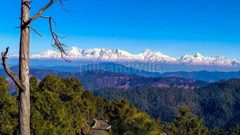 ₹24 Lac - 48 Lac | 300 sq.yards - 600 sq.yards  himalayan view plots for sale  in almora near nainital