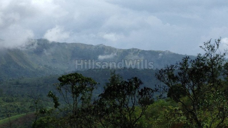 ₹40 Lac | 11 acres commercial land  for sale in vagamon idukki