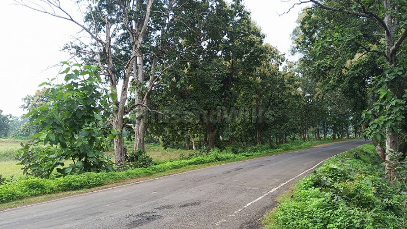 ₹3.12 Cr | 10000 sq.meter residential plot for sale in singanama village pachmarhi