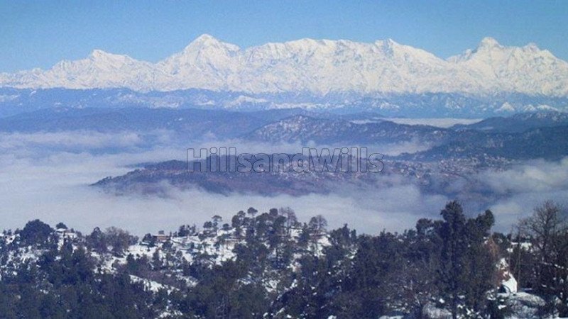 ₹1.50 Cr | 3bhk villa for sale  in nathuakhan nainital