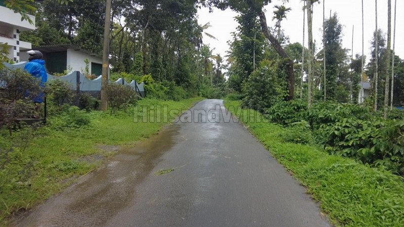 ₹25 Lac | 50 cents residential plot for sale in pullumala wayanad