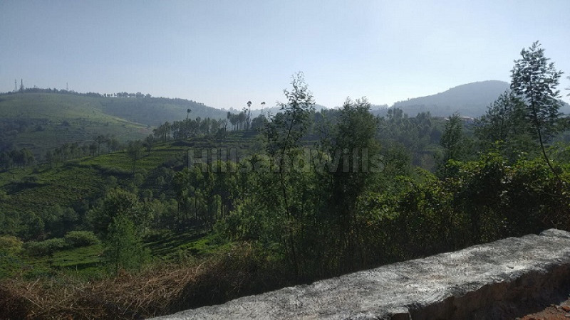 ₹40 Lac | 25 cents Residential Plot For Sale in Westbrook Ooty