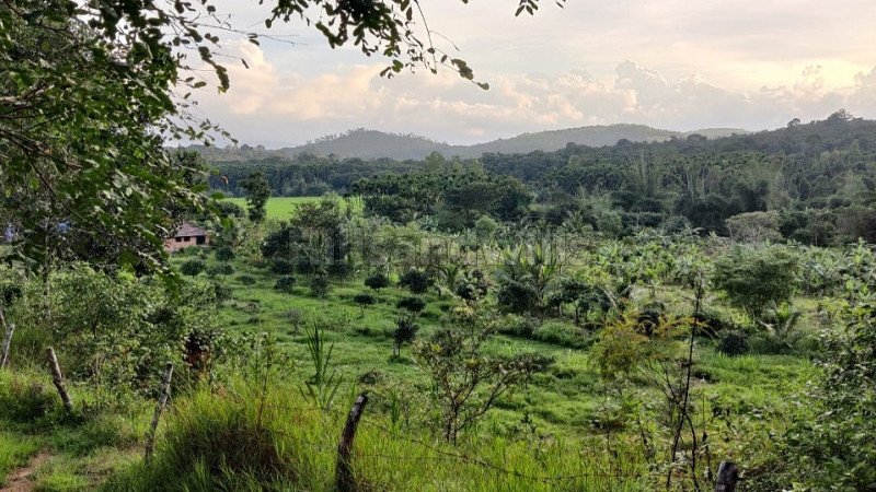 ₹2 Cr | 2bhk farm house for sale  in sringeri chikmagalur
