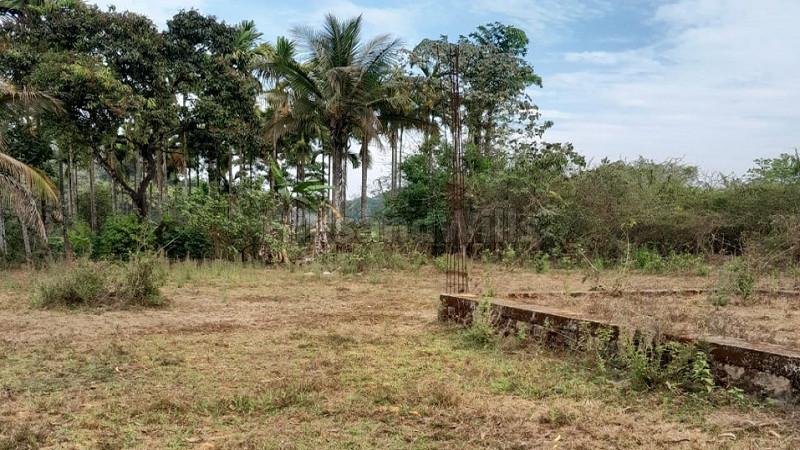 ₹60 Lac | 13066 sq.ft. residential plot for sale in napoklu coorg
