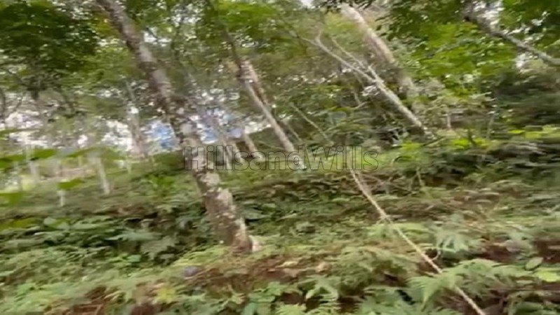 ₹40 Lac | 82 cents rubber estate for sale  in vanchikavala idukki