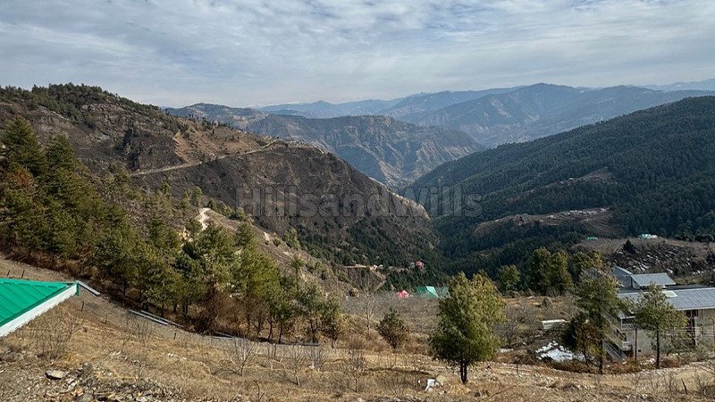 ₹90 Lac | 28 biswa commerical land for sale  in theog shimla