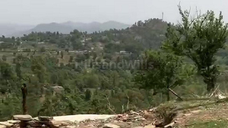 ₹4.50 Cr | 40 nali agriculture land for sale in almora near nainital