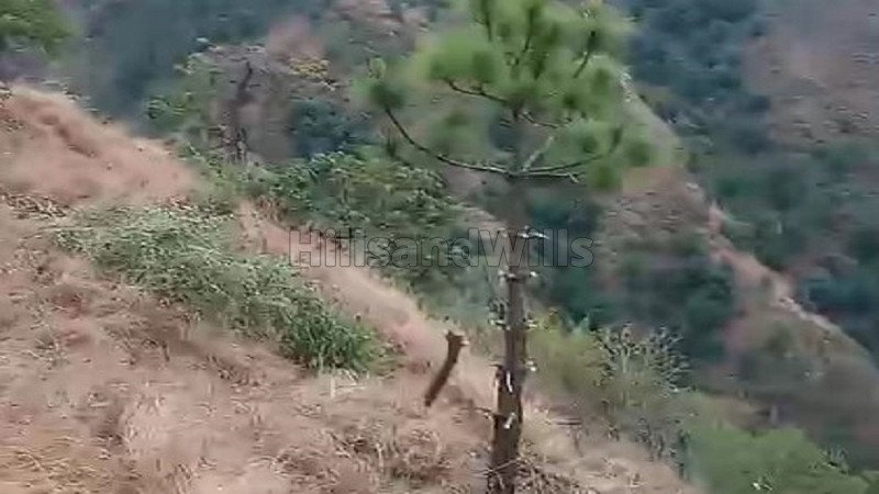 ₹70 Lac | 22 bigha agriculture land for sale  in dharech theog, shimla