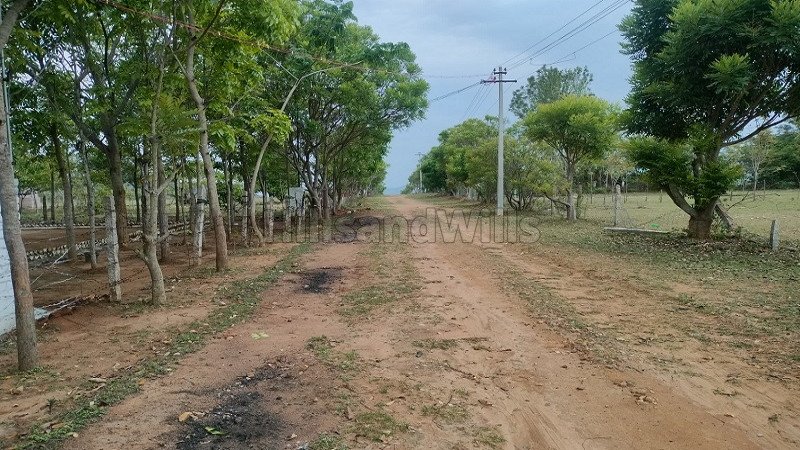 ₹15 Lac | 25 cents residential plot for sale  in thalavadi near nilgiris