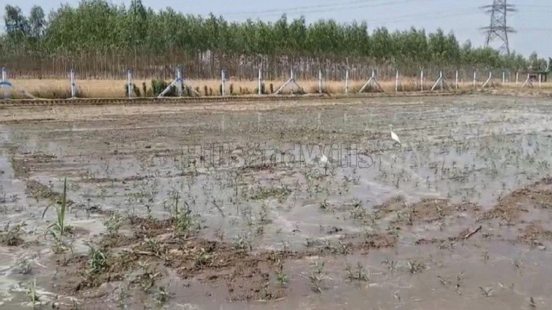 ₹2.40 Cr | 12 bigha  farm land for sale  in shakhubhari mata road dehradun