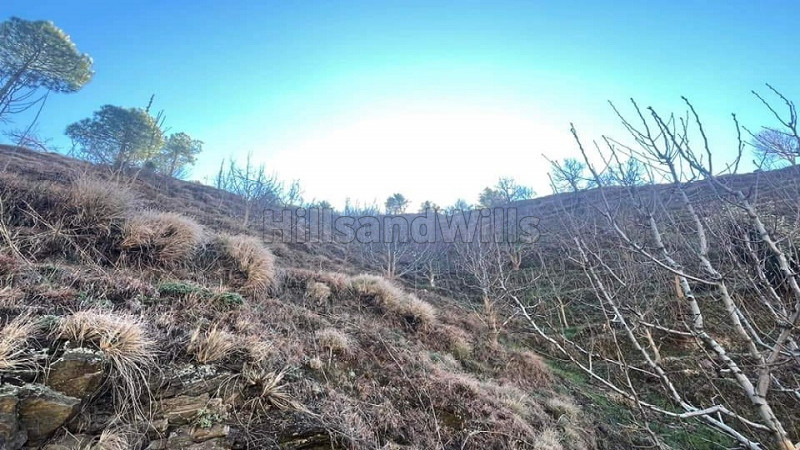₹1.60 Cr | 12 bigha agriculture land for sale in rohru shimla