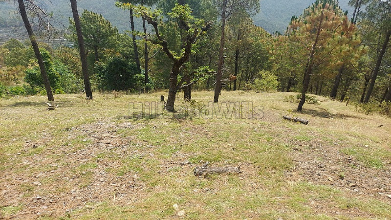 ₹75 Lac | 5 nali agriculture land for sale in lansdowne, uttarakhand