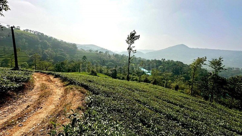 ₹3.50 Cr | 2bhk farm house for sale in vagamon idukki
