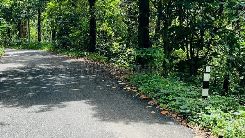 ₹52 Lac | 40 cents commerical land for sale  in anachal munnar