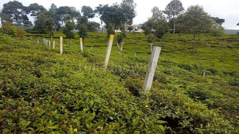₹66 Lac | 10000 sq.ft. residential plot for sale  in aravenu kotagiri