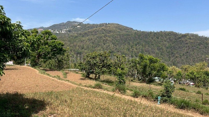 ₹8 Cr | 32000 sq.ft. commerical land for sale  in aoni rishikesh