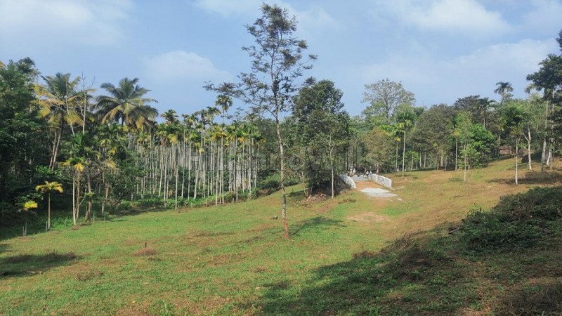 ₹24 Lac | 20 cents residential plot for sale in meenangady, sultanbattery, wayanad